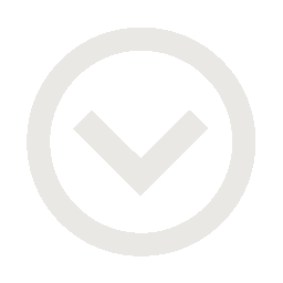Arrow Down Icon